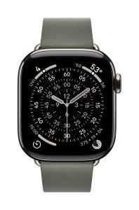 42mm Sage Gray Modern Buckle - Medium