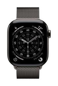 42mm Slate Milanese�loop
