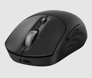 Wireless Rechargeable Mouse - 705