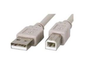 USB Interface Cable  10ft (a To B)