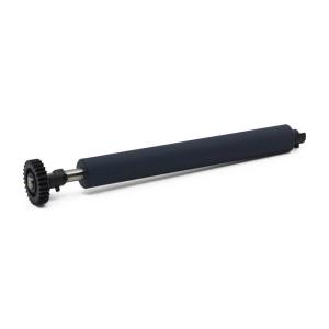 Kit Platen Roller 300dpi For Zd421 Cartridge
