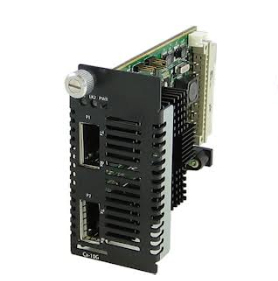 C-10g-xtxh 10g 2x10gigabit Xfpslots Hi Power