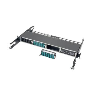 10GBE PASS-THROUGH CASSETTE