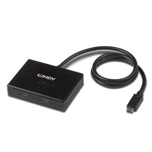 Switch 2 Port Bi-directional USB 3.2 Gen 2 Type C