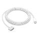 USB-c To Magsafe 3 Cable (2m) - Silver
