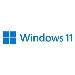 Windows 11 Pro 64bit - 1 Lic - Win - English Intl - USB Stick