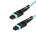 Mpo/ Mtp Fiber Optic Cable - Plenum-rated - Om3, 40GB - Push/pull-tab - 3m