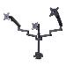 Triple Monitor Desk Mount For Up To Three 27in Screens, Vesa 75x75/100x100, Tool