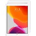 Screen Protection Lite - 10.2in For iPad 7/8/9 Gen
