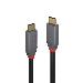 Cable - USB3.1 Type C Male To Type C Male - Anthraline - 50cm - Black