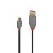 Cable - USB 2.0 Type A Male To Type C Male - Anthraline - 50cm - Black