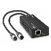 2ch Dante To Xlr Decoder