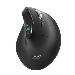Wireless Ergonomic Mouse -  Wireless / Bluetooth - Rechargeable Ergo Auditor