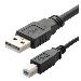 USB Cable V2.0 Plug Type A To Type B 3m