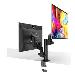 Flexee Light Single Evolutive Dual Monitor Arm