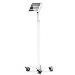 Bundle / Rolling Floor Stand + Apex Secured Enclosure Wall Mount for iPad Pro M4 11in - White
