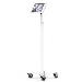 Bundle / Rolling Floor Stand + BrandMe Floor Stand + Apex Secured Enclosure Wall Mount for iPad Air M2 & M3 11in - White