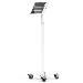 Bundle / Rolling Floor Stand + Apex Secured Enclosure Wall Mount for iPad Pro M4 13in (2024) - White