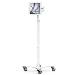 Bundle / Rolling Rise Stand Extended + Apex Secured Enclosure Wall Mount for iPad Air M2/M3 13in (2024) - White
